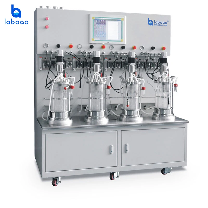Laboao Microorganisms Vaccine Bioreactor Laboratory Fermentor