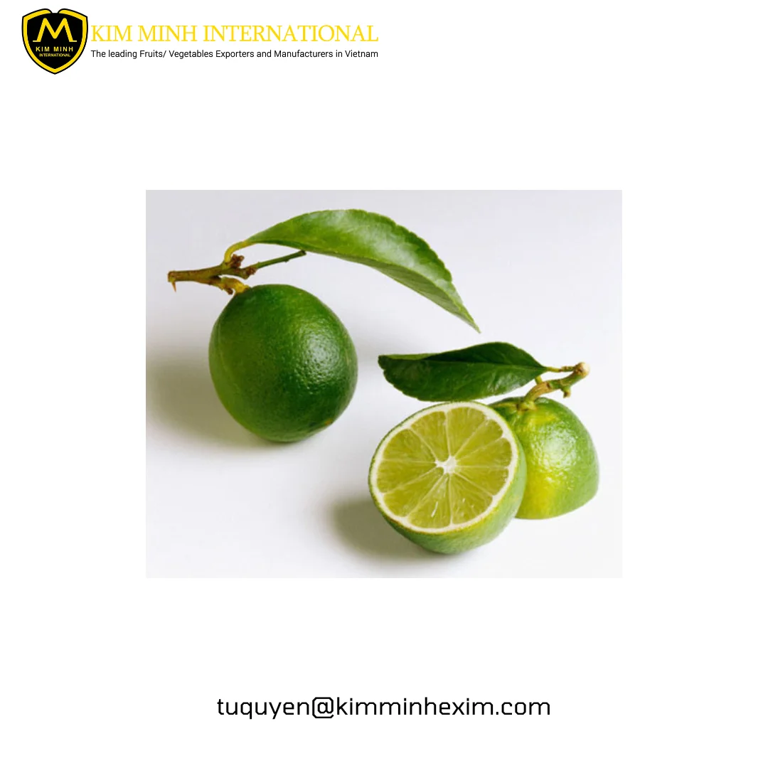 Premium Frozen Lime Ideal for Export and Wholesale