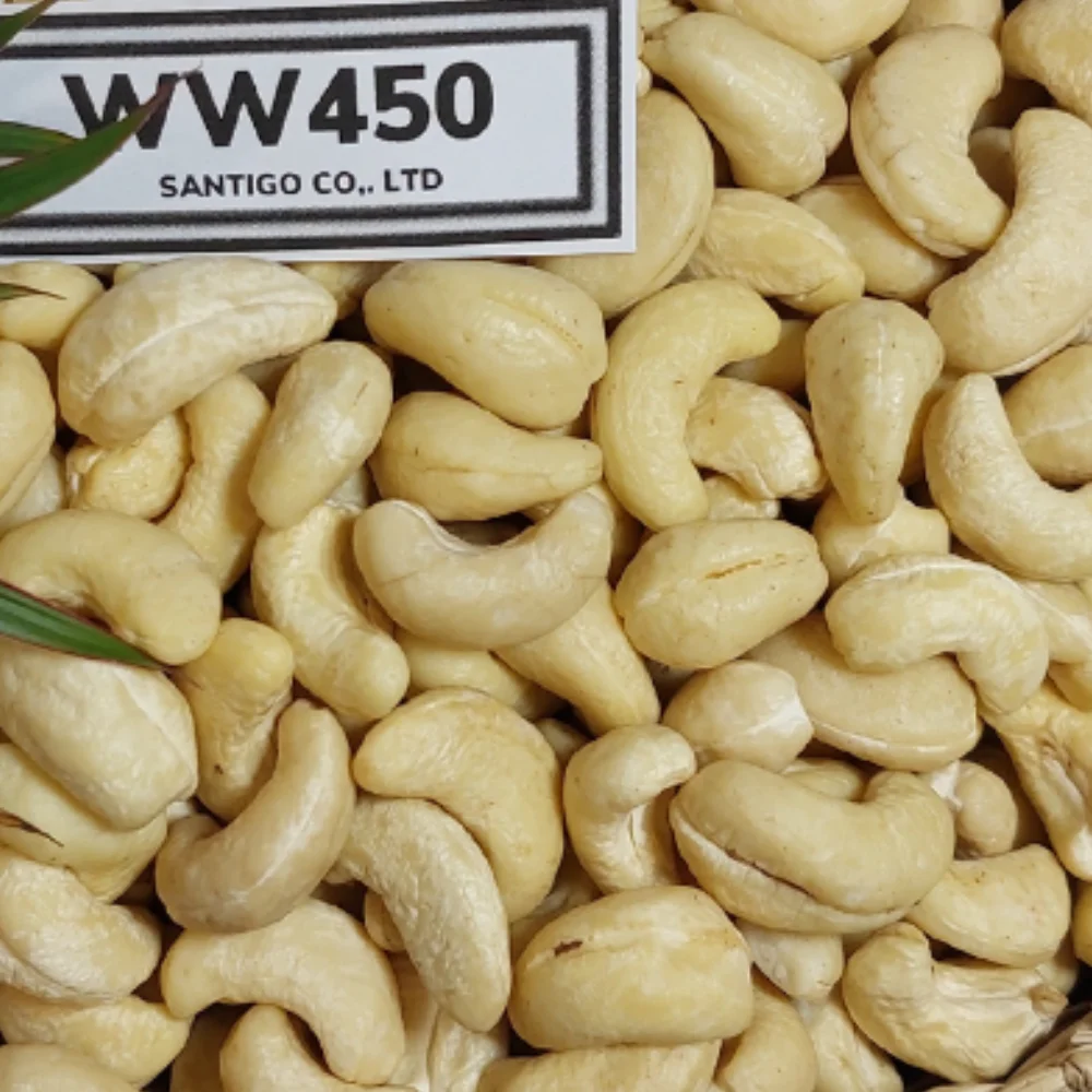 Agriculture Products Kaju Bdam Noix De Cajou Nuts Original Cashew Nuts W320 Grain Snacks Cashewnut