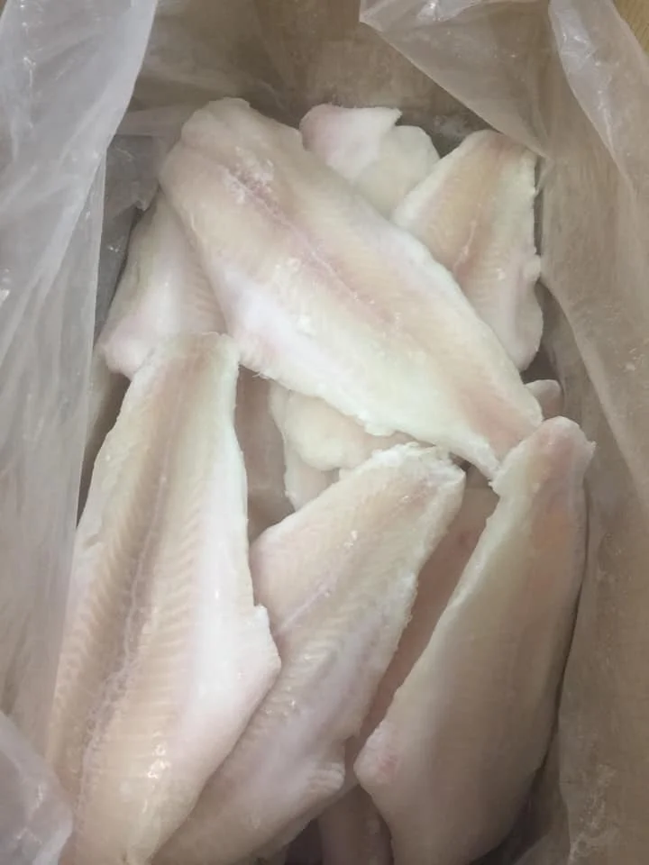 Frozen Pangasius/ Basa fish Fillet high quality 10 kgs with 87% max Max Moisture well trimmed meat