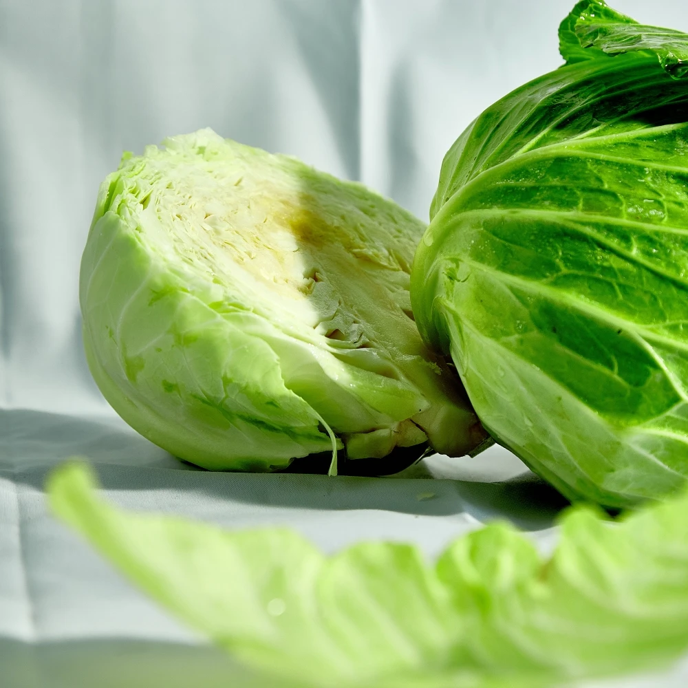 Fresh Round Cabbage Good Quality from VIETNAM Green Crop Style Packing Food Organic GAP Color Pure Feature Weight Natural Origin