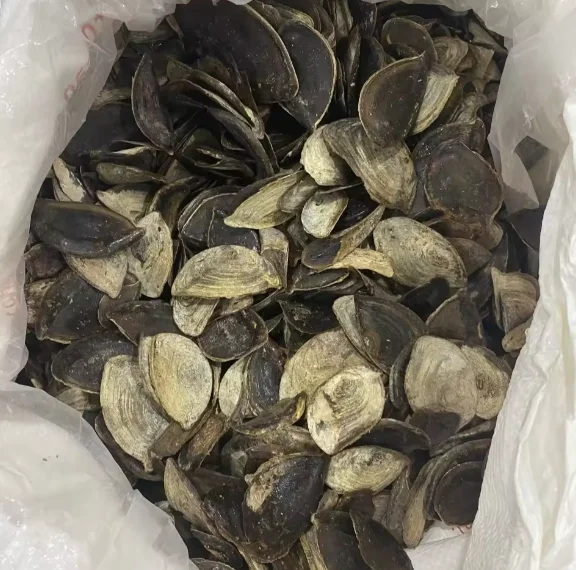 Cheap Natural Clean Up Material Seashell Filtration Oyster Shell