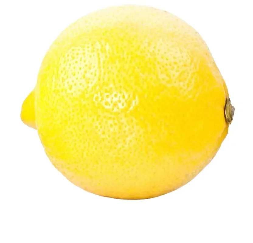 Best Price Fresh Lemon and Lime