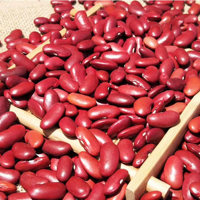 Non-GMO Red Kidney Beans and Red Beans with Wholesale Price / White Kidney Beans / Black Kidney Beans