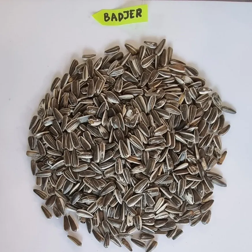 Bird Food Sunflower seeds BADJER animal Feed Bulgarian origin Top Quality Best Price Wholesales Packaging BRC IFS