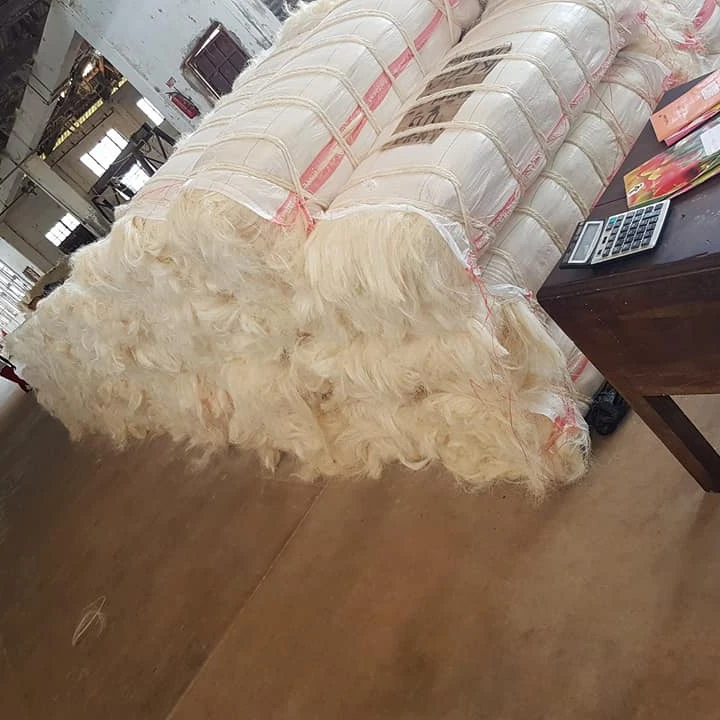 100% Top Quality Sisal / Purity 100% Natural sisal fiber / sisal fiber Best Prices in France