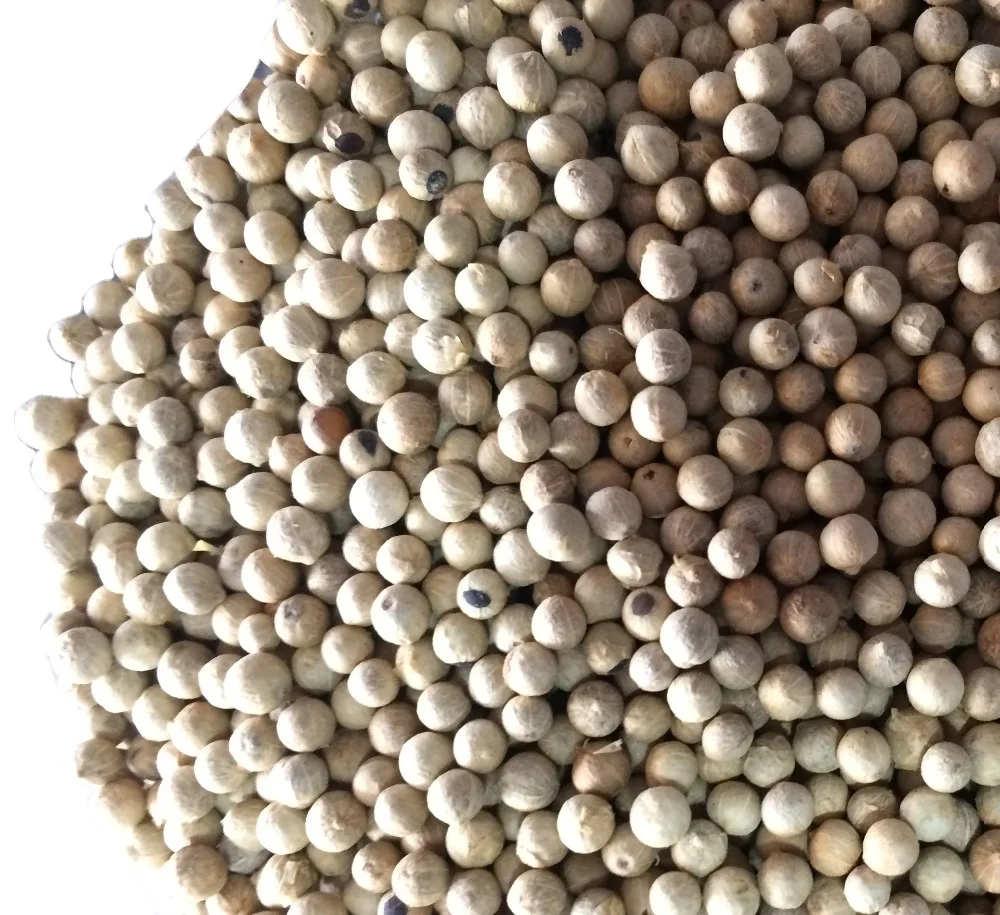 Горячий вьетнамский белый перец, двойная стирка, хорошая цена, высокое качество для всех стран мира