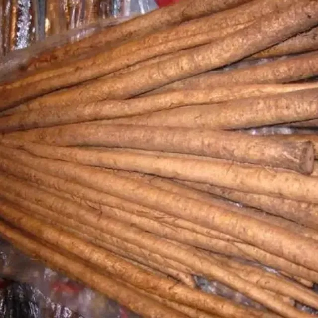 Quality Fresh burdock root wholesale price vacuum pack yellow burdock other fresh vegetables for sale