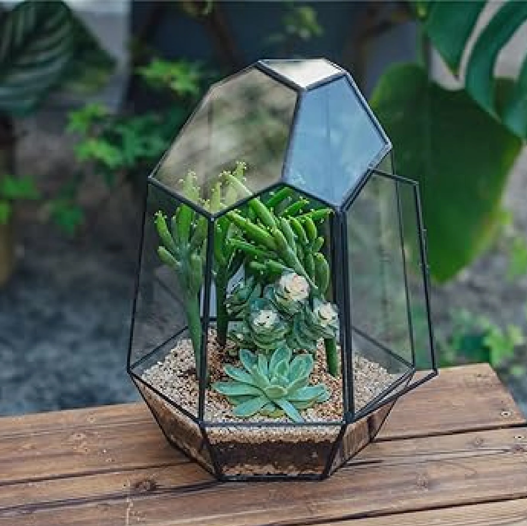 Glass Geometric Terrarium Box Tabletop Succulent Plant Planter Flower Display and Table Decoration At Wholesale and Factory Pric