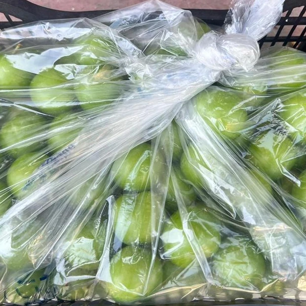 GREEN PLUMS WHOLESALE TURKEY ORIGIN FRESH AND DELICIOUS GREEN PLUM FRUIT VEGETABLE FOOD HIGH QUALITY AGROWELL TURKISHGOODS