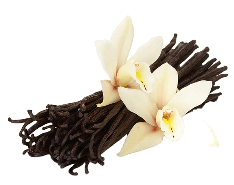 Madagascar USDA Organic Certified a Grade Premium Quality Uganda Vanilla Beans Pods 6 8 Style Weight Shelf Origin Type Life