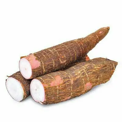 High Quality Frozen Fresh CASSAVA from Vietnam Factory Competitive Price Peeled Cassava Products