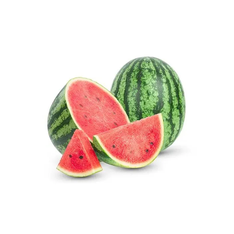 Wholesale Natural Red Watermelon High Quality Tropical Fresh Fruit Watermelon With Competitive price