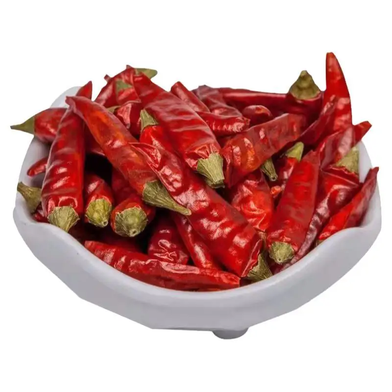 Wholesale Price Dried Chili from Vietnam Your Taste Buds with the Fiery Irresistible Flavors of Hot and Spicy Cuisine