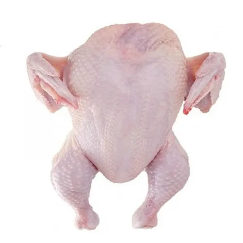 Wholesale Price Frozen Halal Whole Chicken Available Now for Export at Wholesale Price Best Selling Whole Chicken