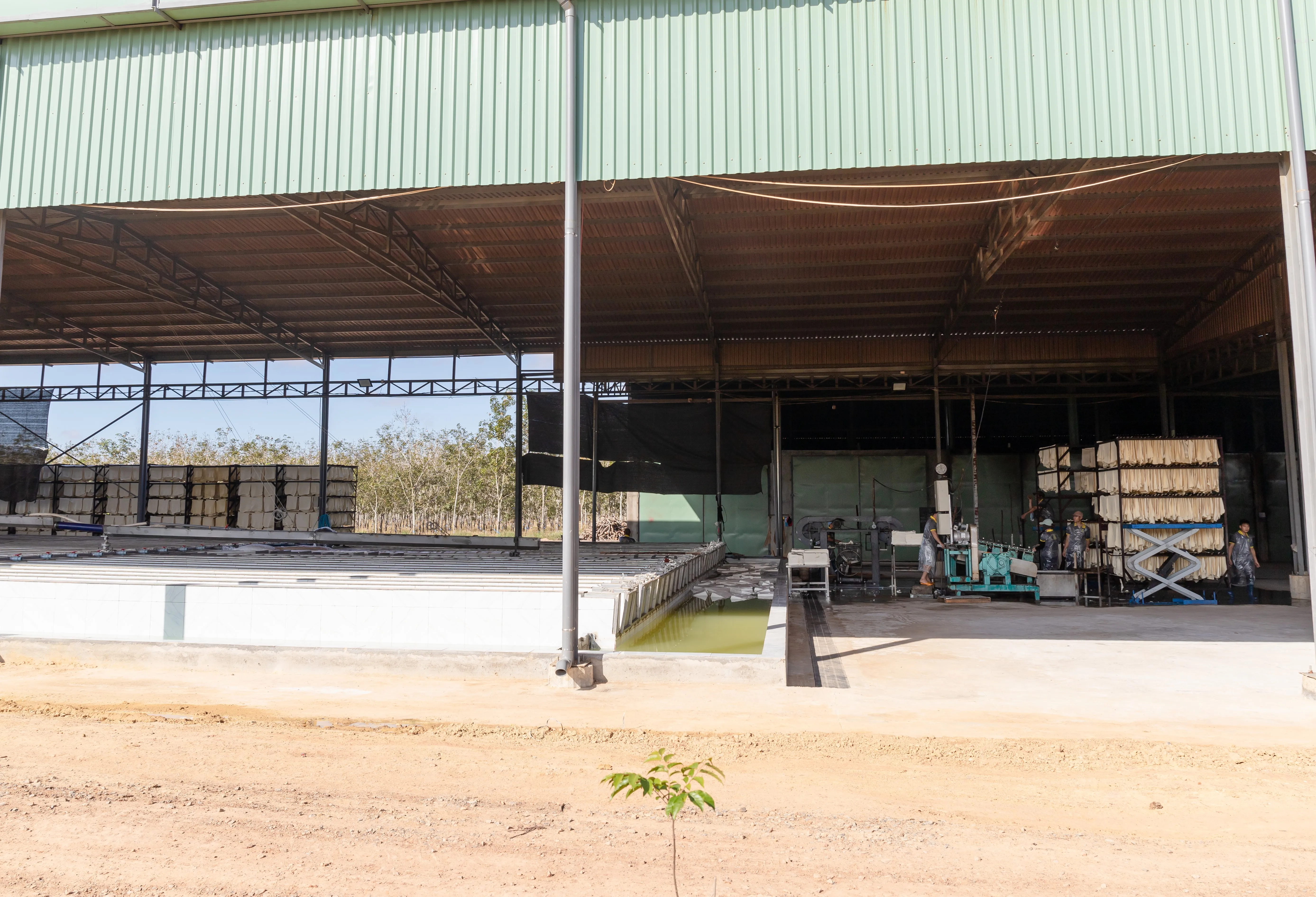 Rss1 _ производитель во Вьетнаме, конкурентоспособная цена и быстрая доставка, резиновые листы, поддержка натурального сырья