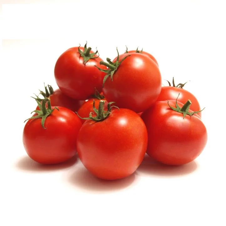 Fresh Tomatoes Fast Shipping High Quality Export Orined Direct Factory Wholesale Cheap Price Tomato From Bangladesh