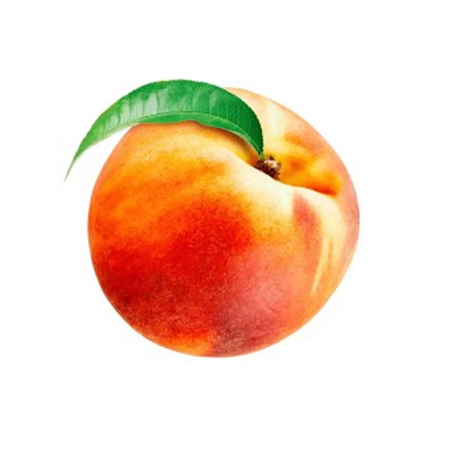 Wholesale Price High Premium Quality Fresh Fruit Sweet Peach