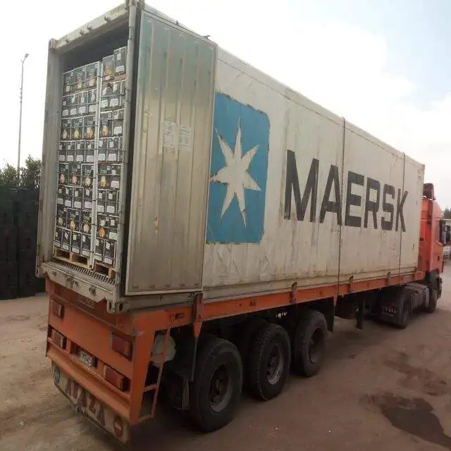 Citrus Fresh Orange new season