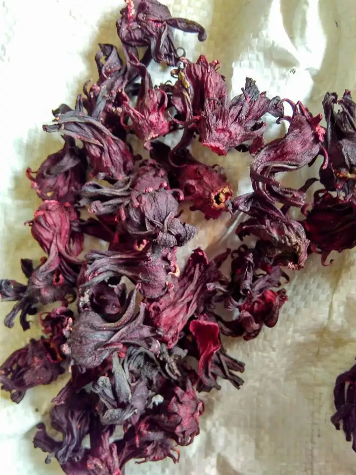 100% NATURAL DRIED FLOWERS FOR HERBAL TEA - HIBISCUS FLOWER FROM VIETNAM