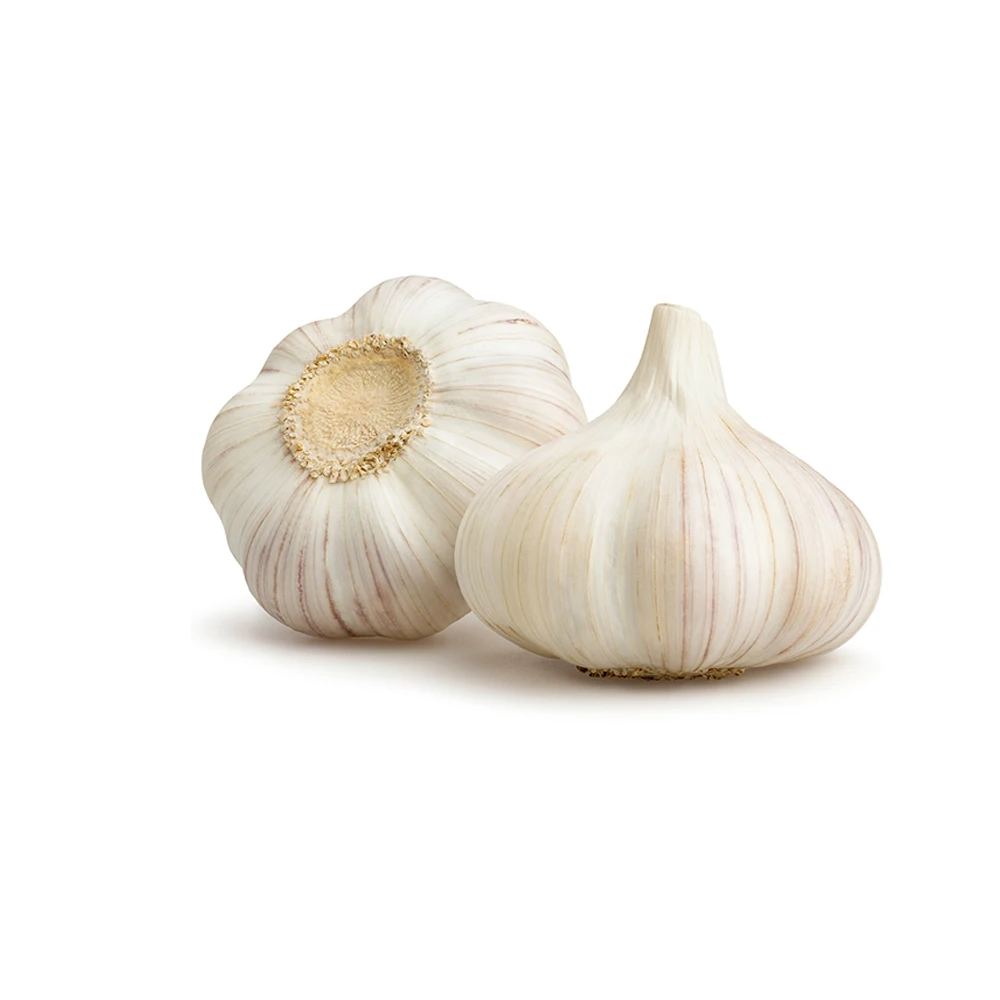 Best Selling Garlic Available At Wholesale Price From Indian Supplier