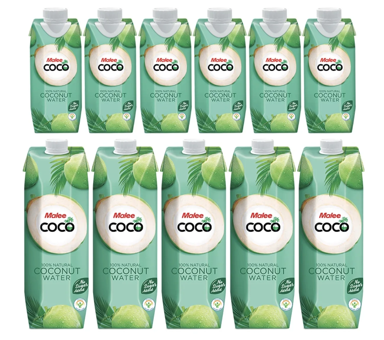 Soft Drink Beverage Wholesale Carton 330 mL x 24 boxes Malee COCO coconut water 1 Malee Coconut UHT 100% from Thailand