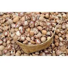 Pure and natural whole betel nut taste of tradition exportable