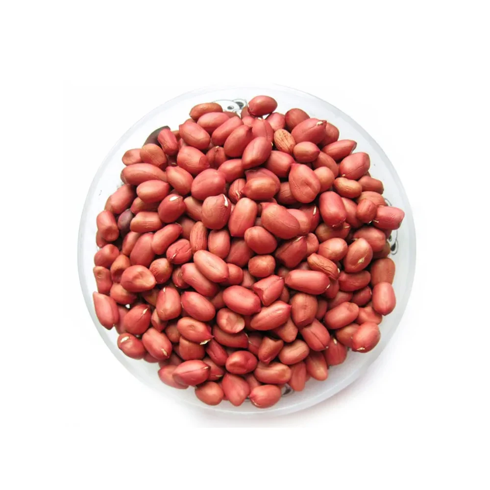 Wholesale Custom Guaranteed Quality Peanut Kernels Proper Price Raw Peanut Freshly Shelled Bulk Organic Peanuts