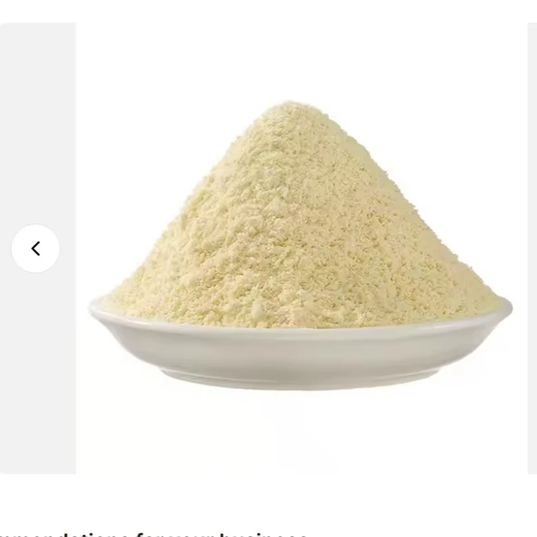 Bulk Non GMO De-fatted Soya Flour / Premium Quality Organic Soya bean Flour for wholesale