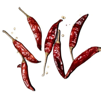 Hot Spicy Wholesale Price Dry Hot Red Chili Teja S17 Original Guntur guntoor Red Dry Chilli