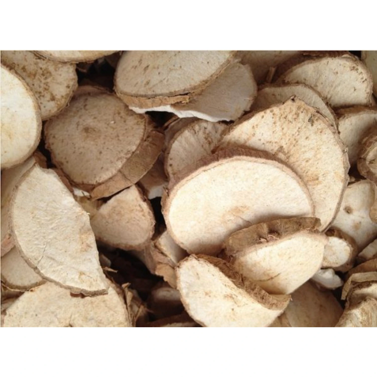 HIGH QUALITY DRIED TAPIOCA CHIPS/ CASSAVA CHIPS for MAKING ANIMAL