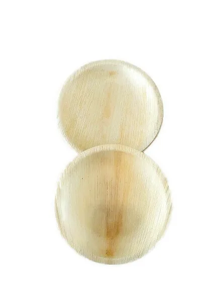 Biodegradable Bamboo Dinnerware 8 Inches Go Green Wood Style Disposable Fruit Dessert Plates Pack 50pcs for Parties