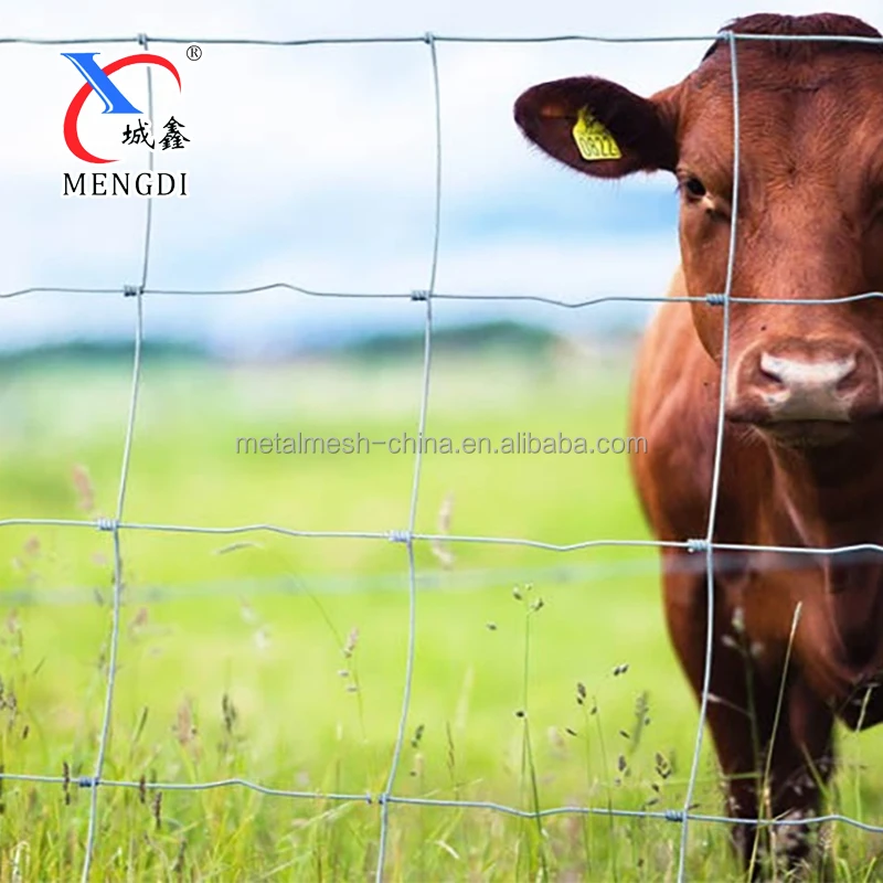 Hot dipped Galvanized Farm Husbandry Guard Field Fixed Knot Fence Wire Mesh For Sale