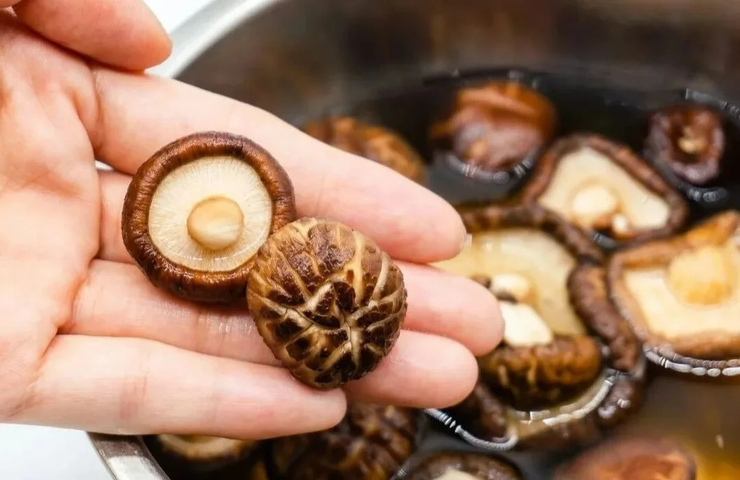 Premium Natural Dried Shiitake Mushroom Good Delicious Size 3-4 cm for Wholesale Cheap Price