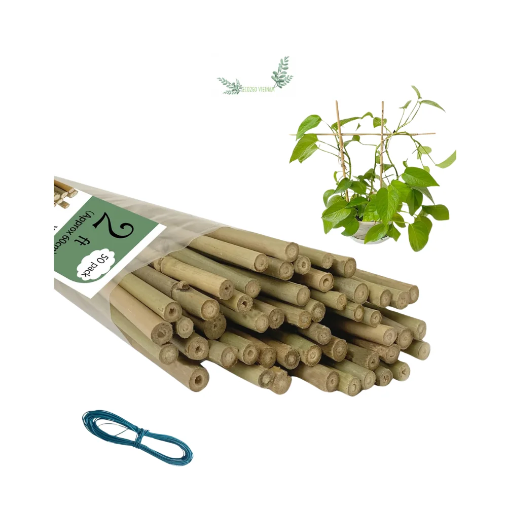 Премиум натуральный бамбук с гладкой поверхностью аккуратные бамбуковые узлы опоры для растений в помещении и на открытом воздухе