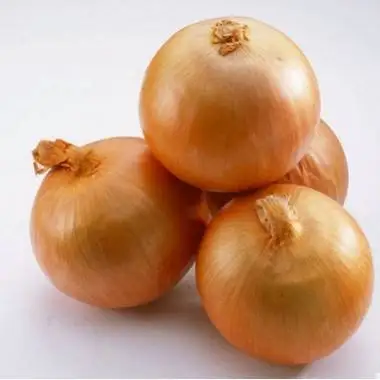 France fresh red onion yellow onion 2022 crop new arrival