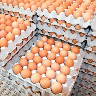 Fresh Chicken Table Eggs Brown and White Shell Chicken Eggs for sale