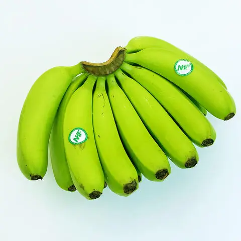 Hot Selling Price Of Fresh Fruit Bananas In Bulk Quantity