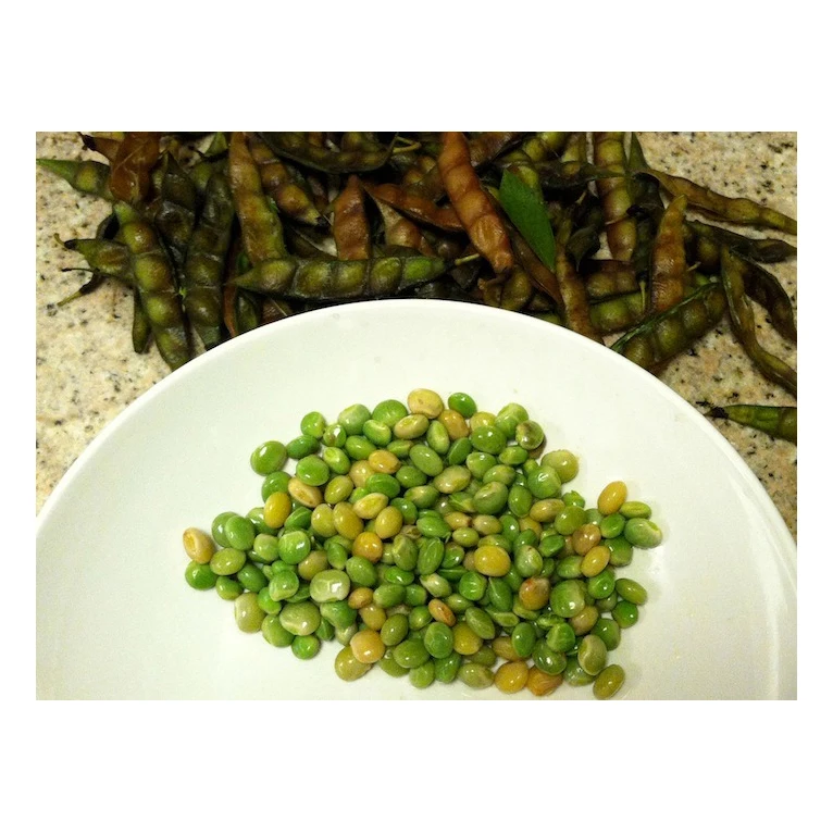 Premium Quality Food Grade Green Pigeon Peas Wholesale Bulk Style Storage Packing and Packaging ready for export