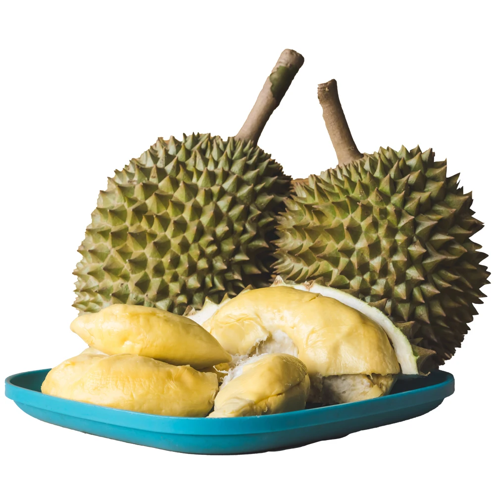 Durian Ri6 Fresh Durian Farm Growing in Vietnam OEM Fresh Durian