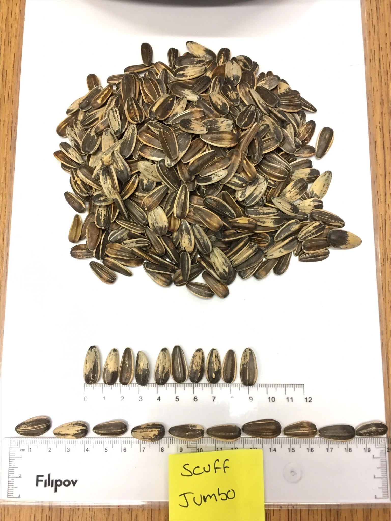 Bird Food Sunflower Seed Wholesale Top Quality Packaging Bulgarian Origin Animal Feed Small Size Sunflower seeds