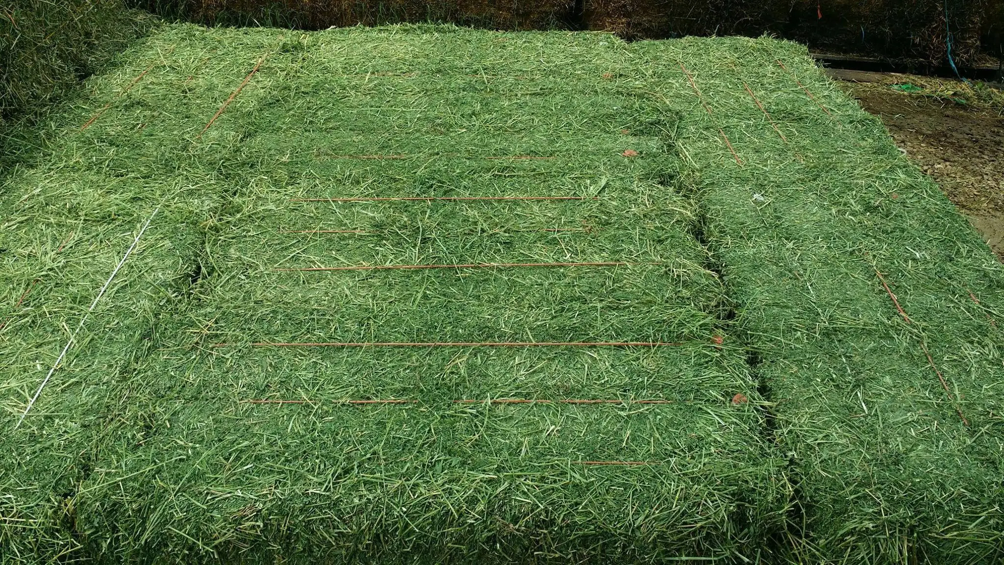 Alfalfa Hays Packaging.jpg