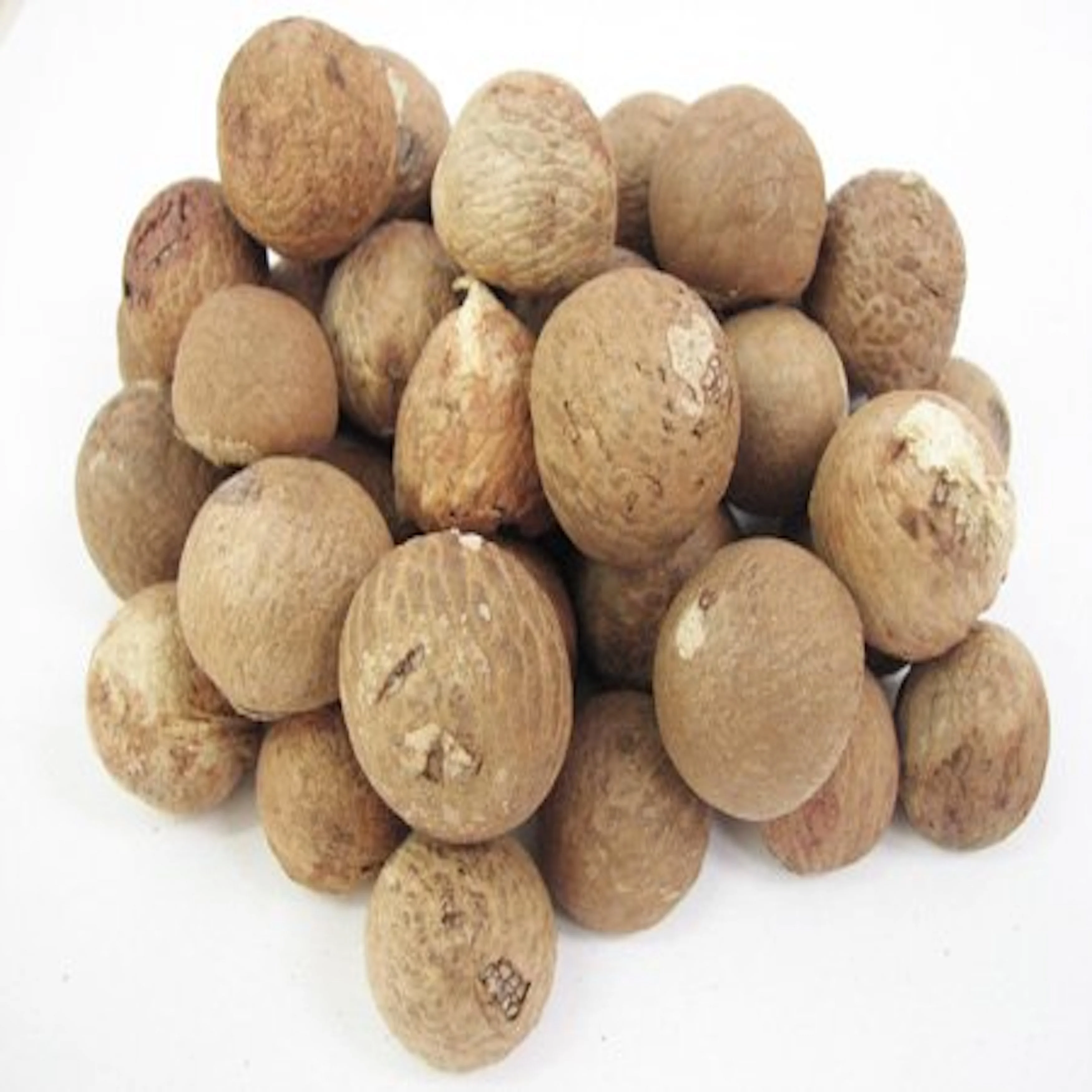 Best Selling Export Quality Areca Whole Betel Nut High Quality Betel Nuts Products