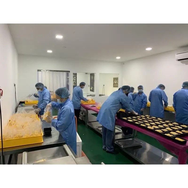 Best Pricing Export Premium Quality Fruit Frozen Durian Pulp D24 Durian Pulp (Pasta)