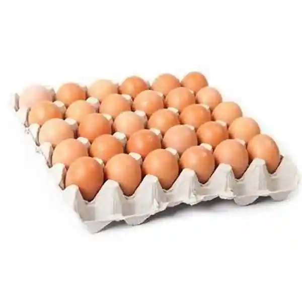 Buy FRESH TABLE EGGS - Supplier of Fresh Table Eggs Brown and White Chicken Eggs