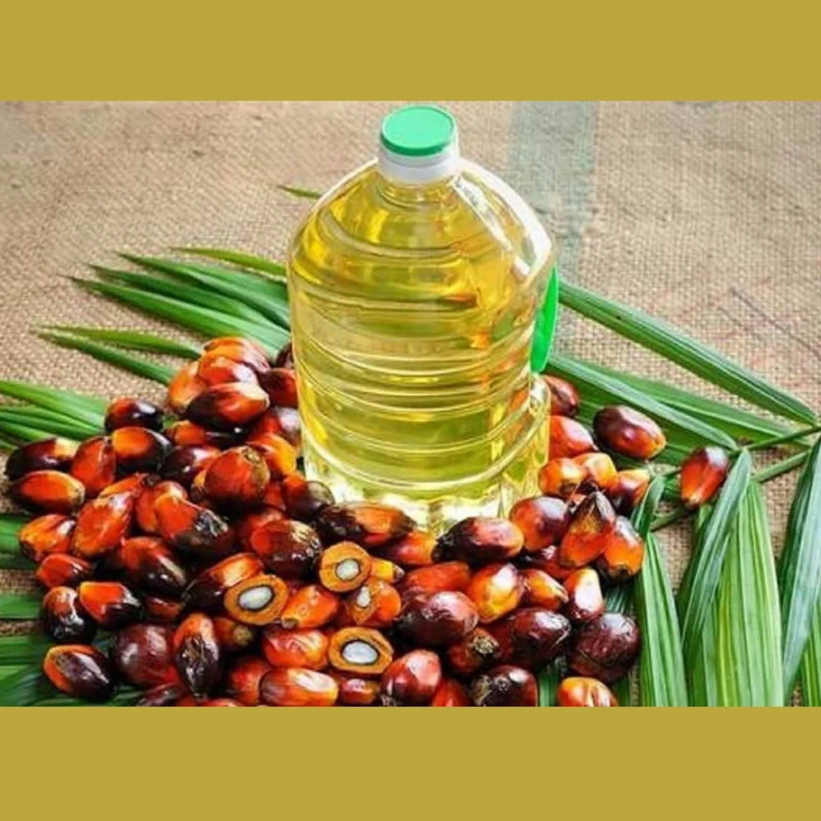 palm-oil.jpg