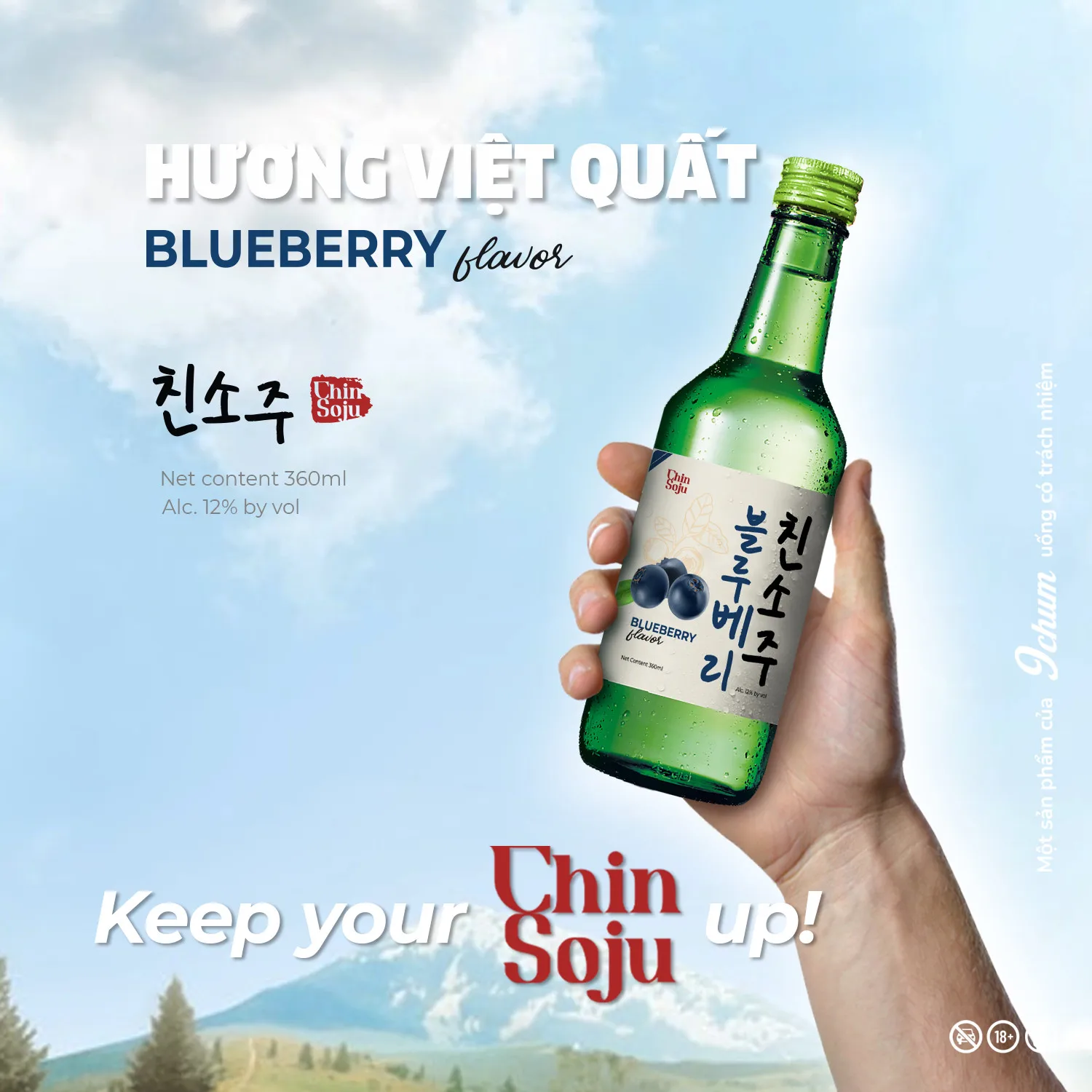 Various fruit Flavour 360ml Brand Chin Soju Shochu with high quality, great taste, low import Tax, OEM service available
