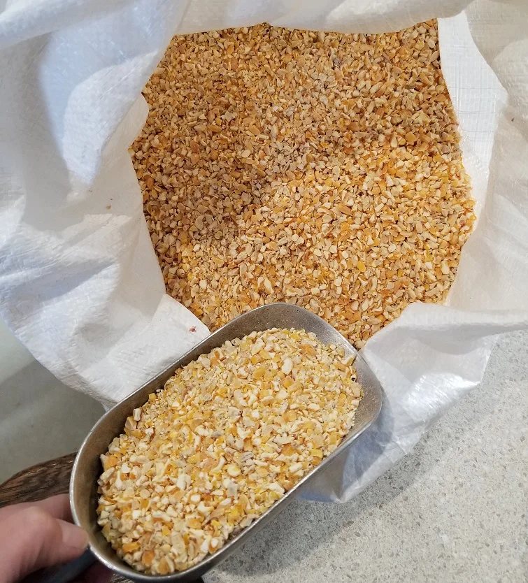 Best Grade Animal Feed Yellow Corn at cheap prices in bulk with fast world wide shipping