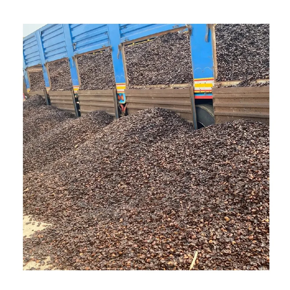 Продажа орехов кешью 1 - 10 мм натуральный размер оптовая продажа сырой шелухи для потребления человеком из Вьетнама на экспорт