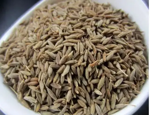 Top class Singapore Europe quality 99% cumin seed price from India